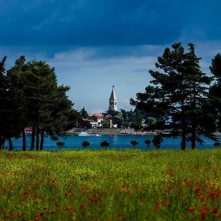 Belvedere Holidays Villas Novigrad Istria Extérieur photo